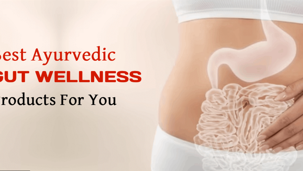 Ayurvedic gut wellness product