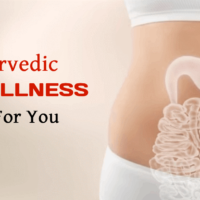 Ayurvedic gut wellness product