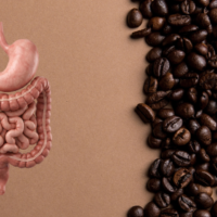 Is coffee good or bad for your gut?