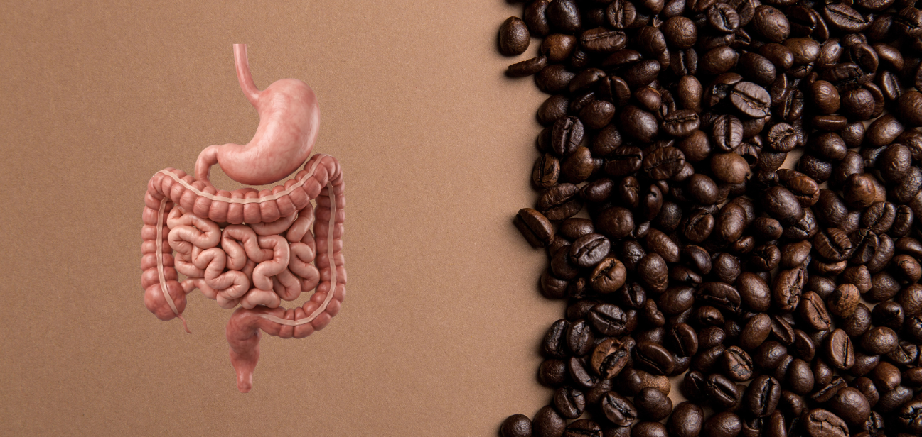 Is coffee good or bad for your gut?